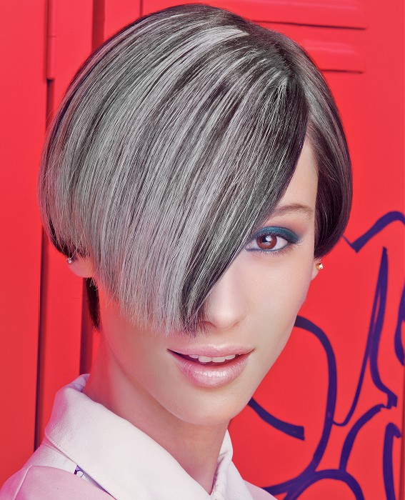 Paul Gehring Short Grey Hairstyles